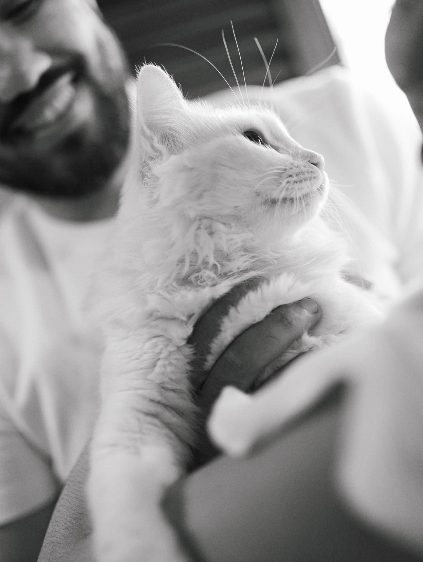 Gustavo & Amanda — foto 7